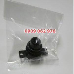 BỘ PHẬN BƠM MỰC HIỆU RISO